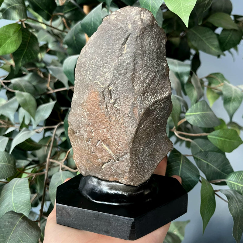 Ancient Acheulean Hand Axe, Morocco D