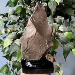 Ancient Acheulean Hand Axe, Morocco L (XXL)