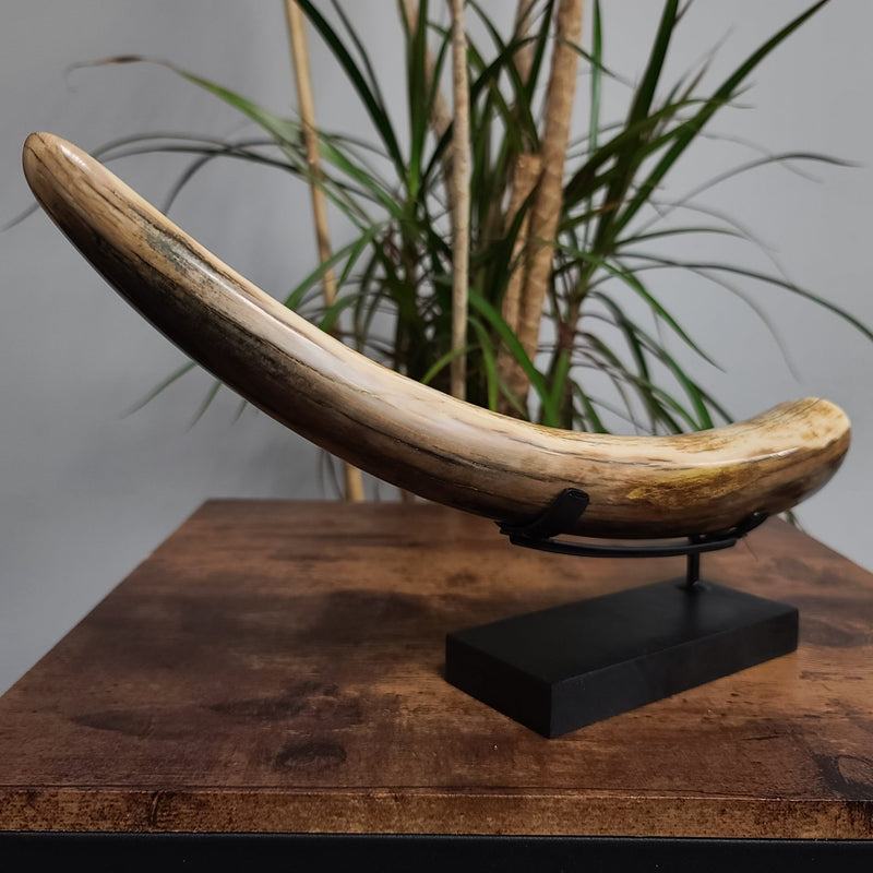 Woolly Mammoth Tusk H, 14"