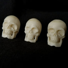 Human Skulls, Cattle Bone Carvings