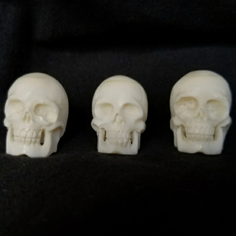 Human Skulls, Cattle Bone Carvings