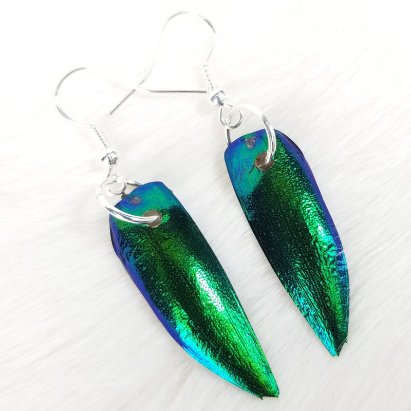 Beetle Carapace Earrings